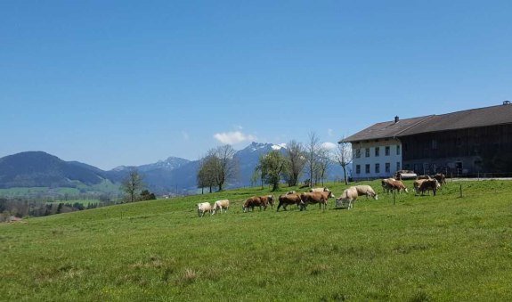 Biohof Unterstadl mit Bergblick, © im-web.de/ Touristinformation Fischbachau