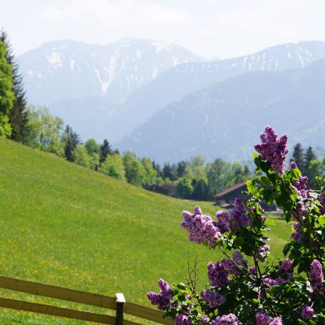 Aussicht vom Hof, © im-web.de/ Touristinformation Fischbachau