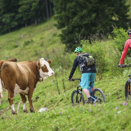 Mountainbike Voralpen Fischbachau, © Dietmar Denger